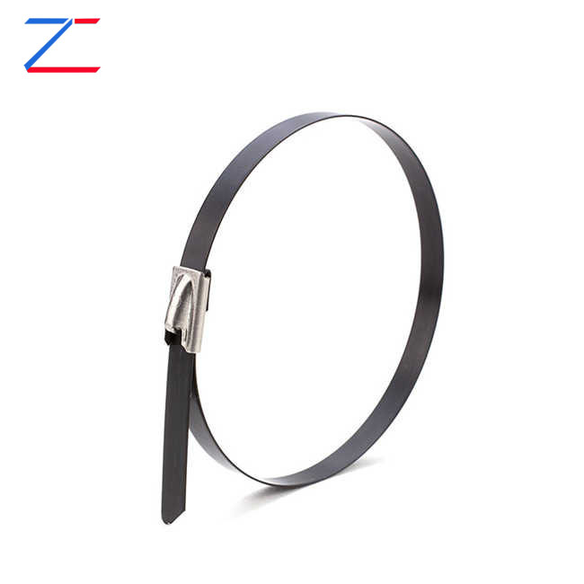 Pourquoi choisir des serre-câbles en acier inoxydable avec revêtement ?